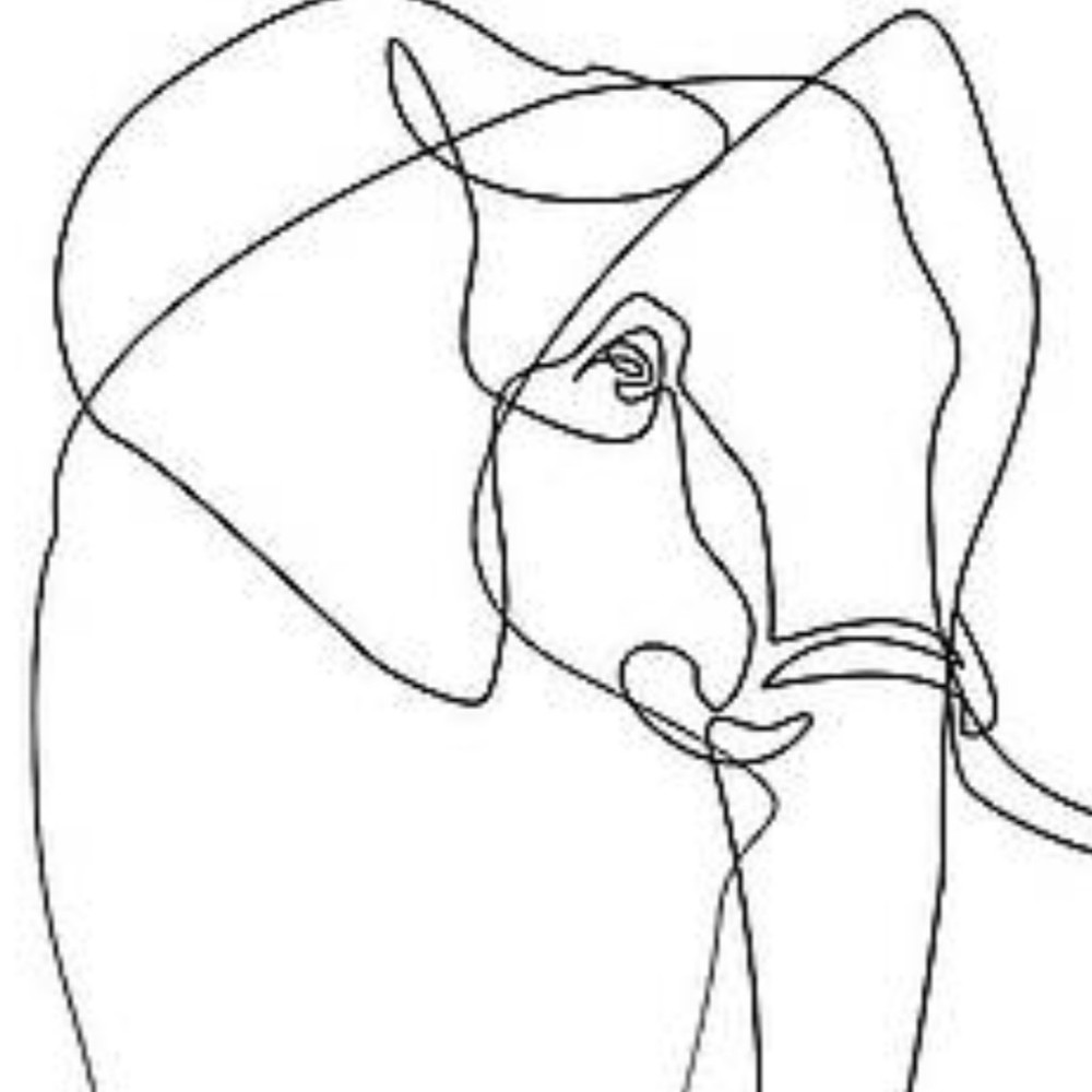 Meet your Posher, Katarina